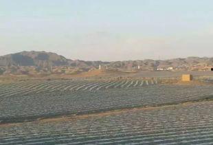 苏州吃瓜墙,街头巷尾的市井百态