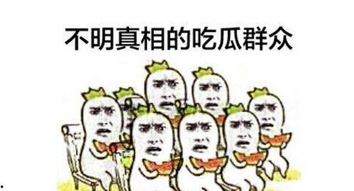 吃瓜群众什么级别最高,揭秘吃瓜群众最高级别之谜
