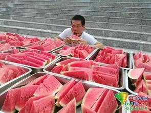 在学校吃瓜图片,揭秘校园里的那些“秘密”瞬间