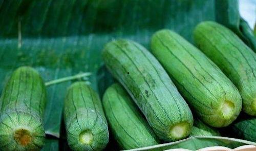 立秋吃那三瓜,品味三瓜养生之道