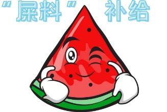 消化困难型吃瓜,轻松应对夏日美食挑战