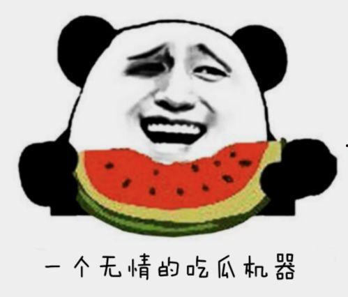 我们都是吃瓜王,我们都是吃瓜王，共赏明星风云录